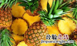 湖南能种菠萝吗 菠萝适合在几度下生长
