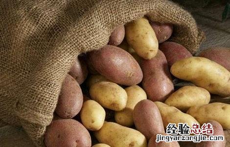 土豆储藏保鲜技术 土豆贮藏新技术