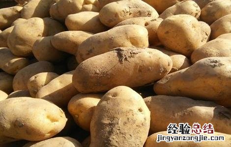 土豆储藏保鲜技术 土豆贮藏新技术