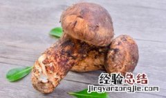 赤松茸的家常做法大全 赤松茸的吃法