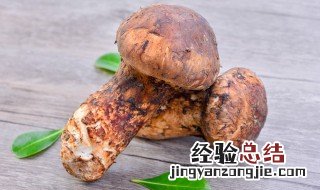 赤松茸的家常做法大全 赤松茸的吃法
