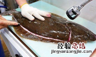 比目鱼的功效与作用 比目鱼有什么功效与作用