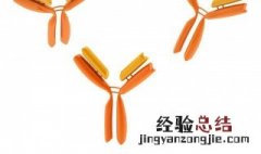 病毒抗体是什么 病毒抗体有什么用