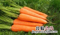 类胡萝卜素的元素组成 类胡萝卜素有什么用呢