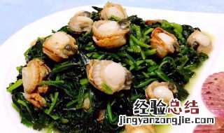 菠菜拌扇贝的做法大全 菠菜拌扇贝的做法