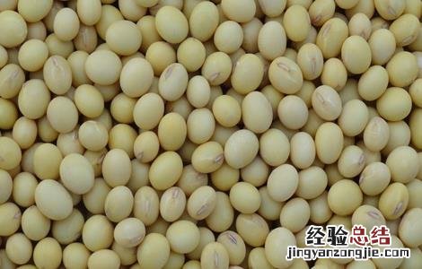 大豆储藏注意事项 大豆储藏方法