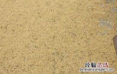 大豆储藏注意事项 大豆储藏方法