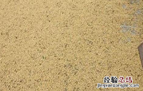 大豆储藏注意事项 大豆储藏方法