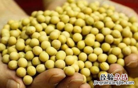 大豆储藏注意事项 大豆储藏方法