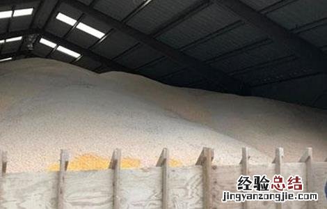 大豆储藏注意事项 大豆储藏方法