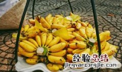 芭蕉食谱 芭蕉怎么做辅食给宝宝吃