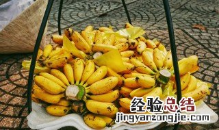 芭蕉食谱 芭蕉怎么做辅食给宝宝吃