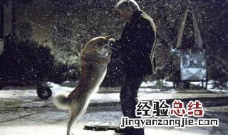 感人的电影 推荐一下