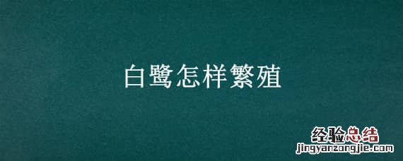 白鹭怎样繁殖 白鹭怎样繁殖的