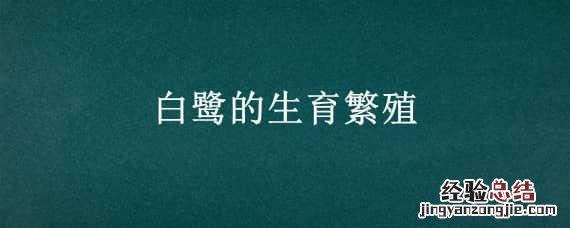 白鹭的生育繁殖 白鹭繁殖一般生几个