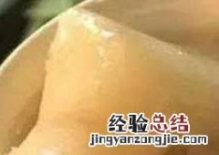 花胶怎么吃 花胶怎么吃不腥
