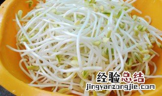 黄豆芽营养价值及功效与作用禁忌 黄豆芽营养价值及功效与作用