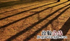 红壤土适合种什么作物 红壤土适合种什么
