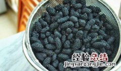 冷冻桑葚的制作方法 冷冻桑葚后的改变介绍