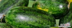 西瓜苗定植后几天浇水好 大棚西瓜定植后几天浇水好