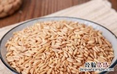 如何提高燕麦种子发芽率