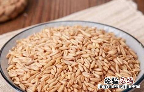 如何提高燕麦种子发芽率