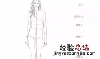 九头身比例是什么意思 九头身比例介绍
