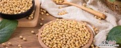 大豆的古名称为什么 大豆的古名