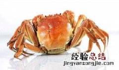 大闸蟹营养价值及功效与作用禁忌 大闸蟹营养价值及功效与作用