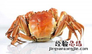 大闸蟹营养价值及功效与作用禁忌 大闸蟹营养价值及功效与作用