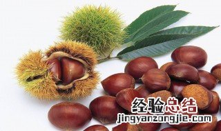 板栗的营养价值及功效 板栗营养价值及功效与作用