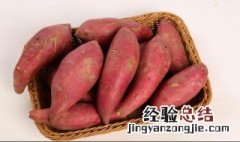 白心红薯的营养价值及功效与作用 红薯的营养价值及功效与作用