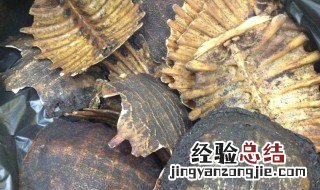 炙鳖甲的功效与作用及禁忌 炙鳖甲的功效与作用
