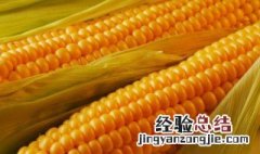 粘玉米的营养价值及功效与作用禁忌 粘玉米的营养价值及功效与作用