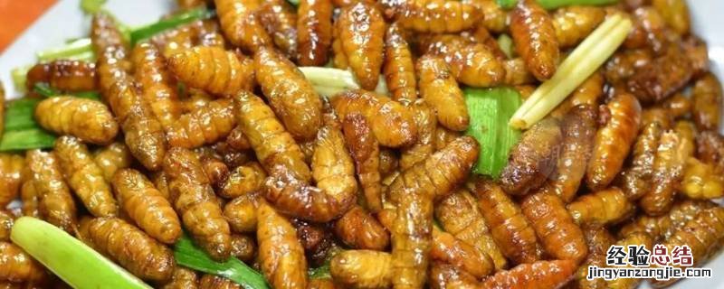 怎么吃蚕蛹好 怎么吃蚕蛹