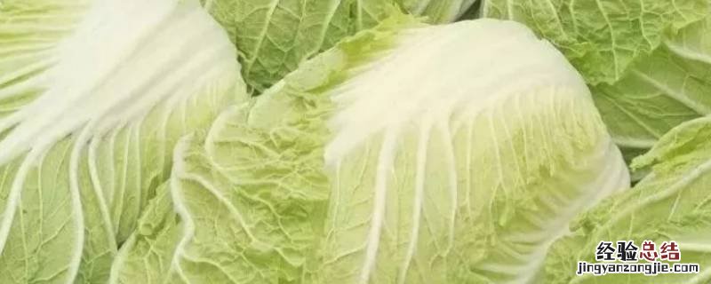 大白菜怎么吃 大白菜怎么吃才好吃