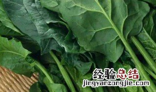 适合冬季种的菜 冬天适合种什么菜
