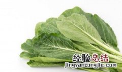 红油炒芥菜的做法 红油炒芥菜的做法大全