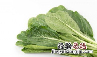 红油炒芥菜的做法 红油炒芥菜的做法大全