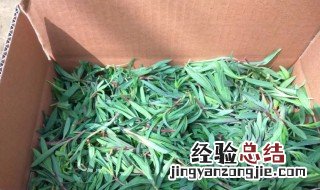 山苜楂是凉性还是热性 山楂是热性还是寒性