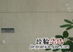 大叶伞养殖要注意什么 大叶伞的养殖方法和注意事项