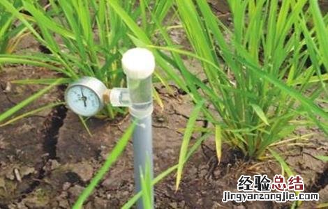 水稻灌溉技术规范 水稻灌溉技术