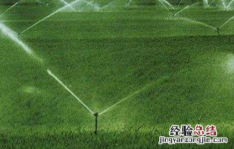 水稻灌溉技术规范 水稻灌溉技术