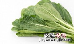 芥菜怎么腌好吃 芥菜怎么腌好吃视频