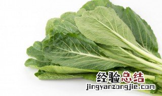 芥菜怎么腌好吃 芥菜怎么腌好吃视频