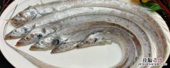 带鱼10-12规格是什么意思 带鱼规格8-10是什么意思