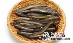 怎么做泥鳅鱼 怎么做泥鳅