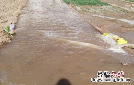 小麦浇水时间和注意事项 小麦浇水时间和注意事项是什么