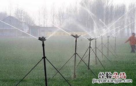 小麦浇水时间和注意事项 小麦浇水时间和注意事项是什么