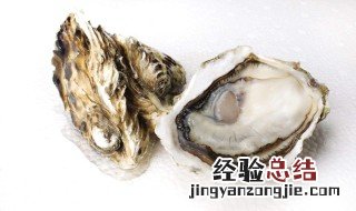 生蚝的营养价值及功效与作用 生蚝营养成分及功效